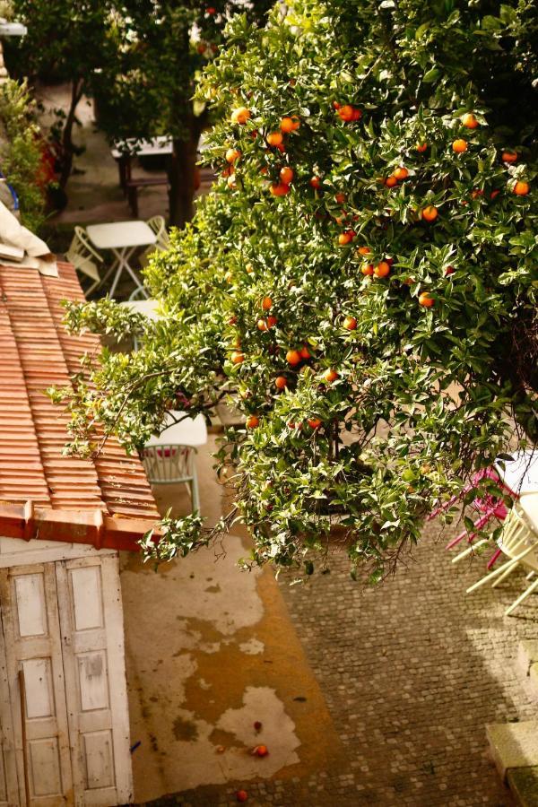 Alegria 1º Daire Porto Dış mekan fotoğraf
